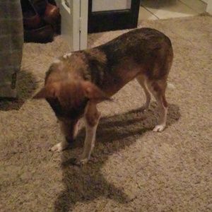 Meet your Posher, Matthew